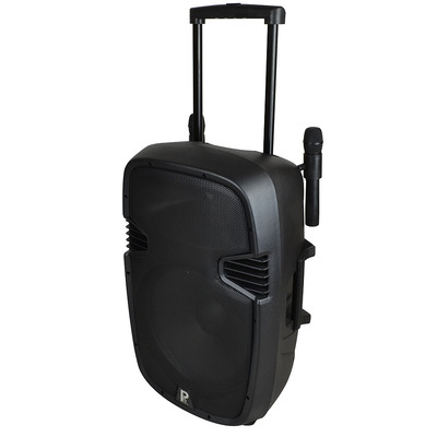 15 Inch Battery Powered PA System with Two Radio Microphones