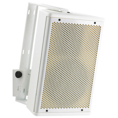 Passive Speaker Cabinet - 10" White 250W