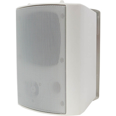 100 Volt Background Speaker (Pair) - 4" White