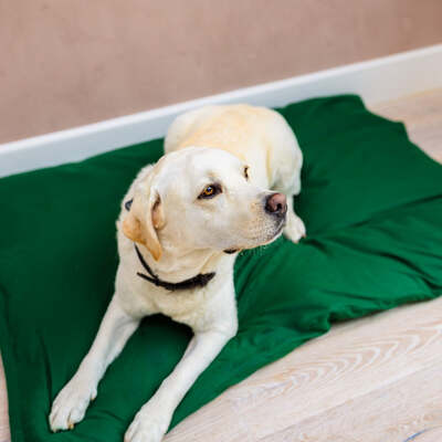 Dog Bed Duvet & Dog Bed Duvet Cover Med - Lge Polycotton Green - Medium to Large