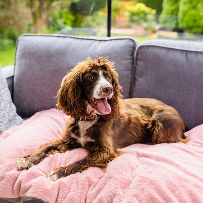 Dog Bed Duvet & Dog Bed Duvet Cover Sml- Med Luxury Faux Fur Pink - Small to medium