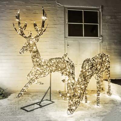 Christmas Reindeer Duo Stag Outdoor Light Set