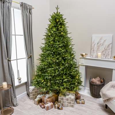 Blenheim Fir Artificial Pre-Lit PE Christmas Tree 6.5FT, 7.5FT, 6.5ft (2m)