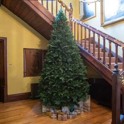 Windsor Fir Artificial PE Christmas Tree 6.5FT, 7.5FT, 8.5FT, 10FT, 10ft (3m)
