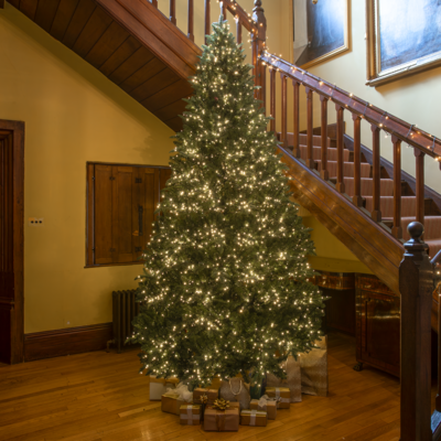 Windsor Fir Artificial Pre-Lit PE Christmas Tree 6.5FT, 7.5FT, 8.5FT, 10FT, 6.5ft (2m)