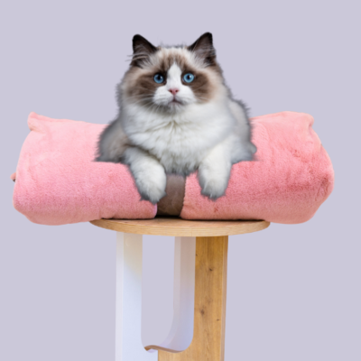 Cat Bed Mattress & Faux Fur Pink Cover - Cat Bedding Set