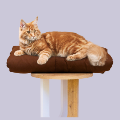 Cat Bed Mattress & Brown Cover - Cat Bedding Set