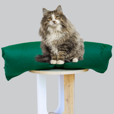 Cat Bed Mattress & Green Cover - Cat Bedding Set