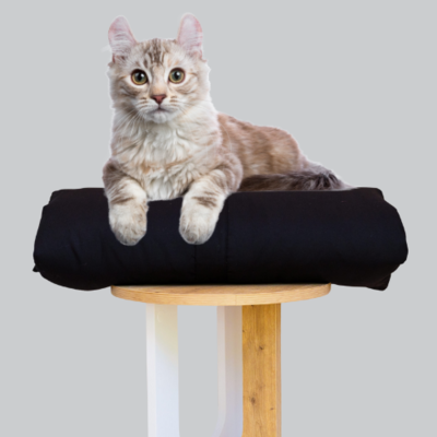 Cat Bed Mattress & Black Cover - Cat Bedding Set